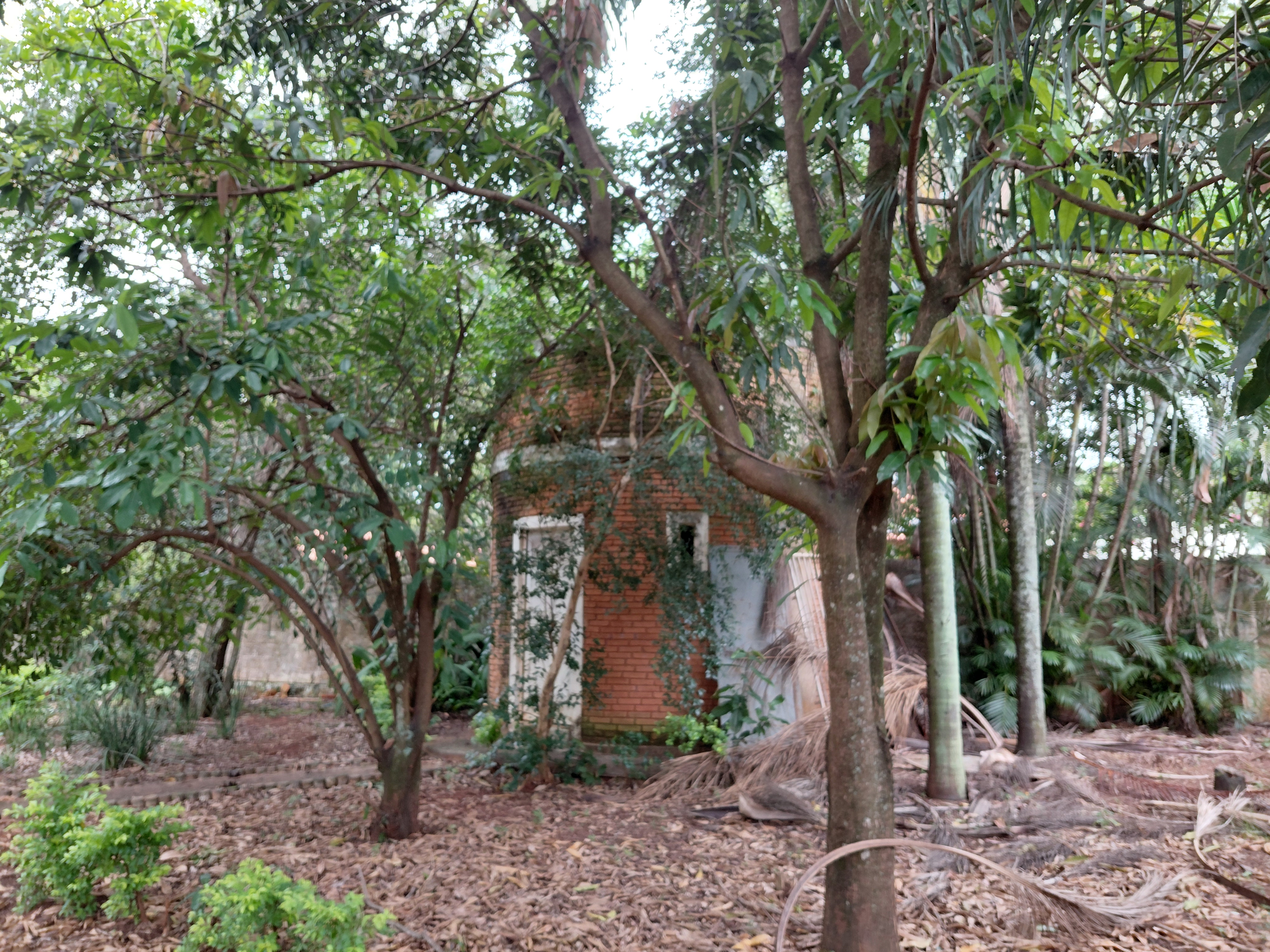 Casa com 2 Quartos à Venda, 7.480,00 m² - Foto 15