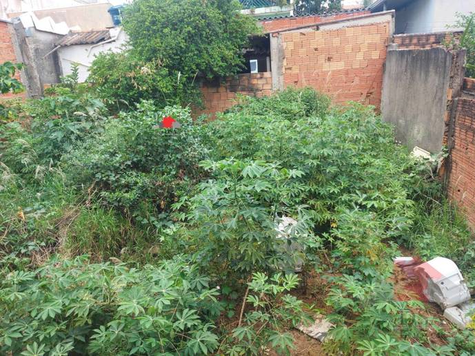 Casa com 5 Quartos à Venda, 250,00 m² - Foto 14