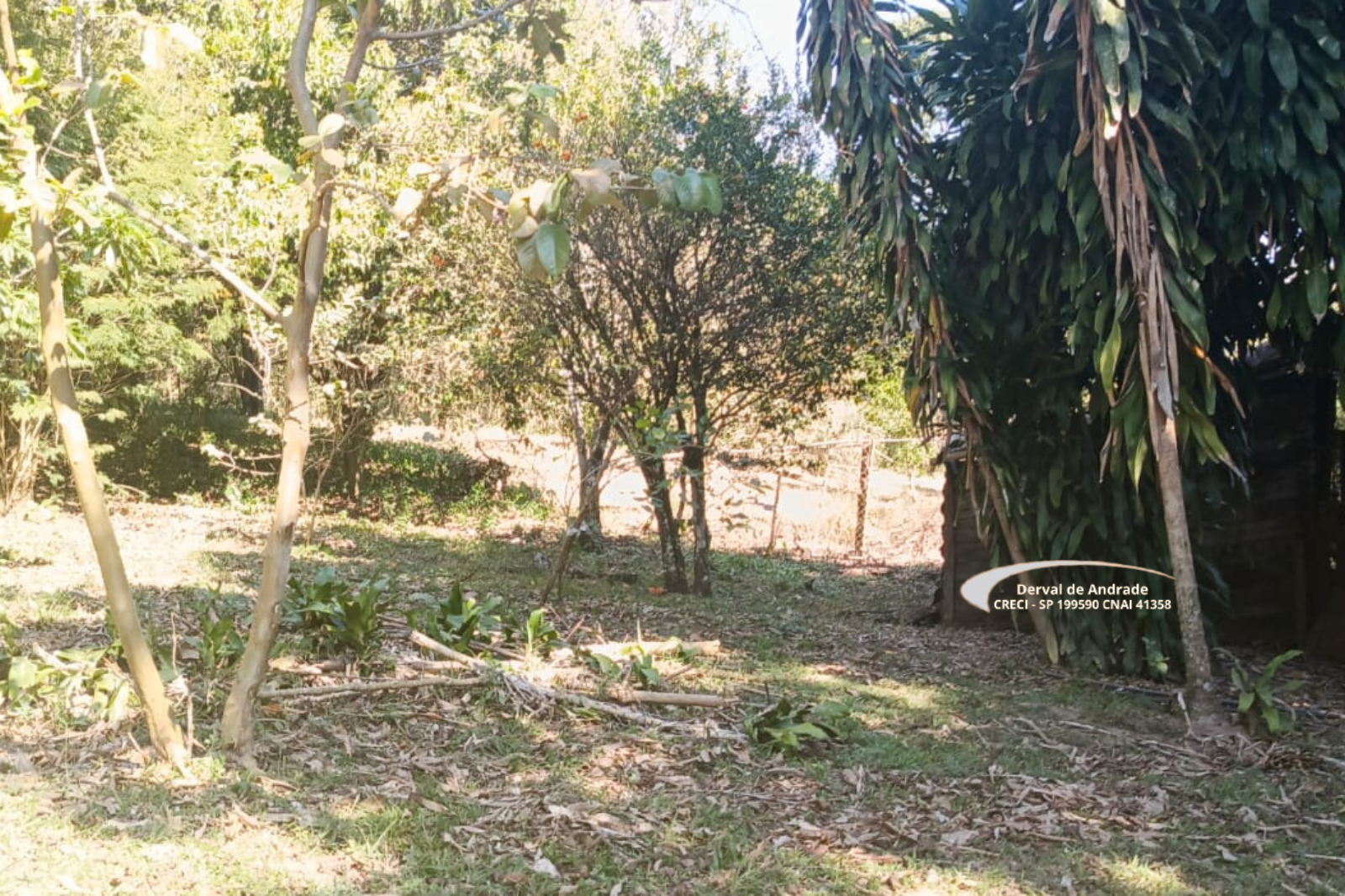 Rural com 4 Quartos à Venda, 24.000,00 m² - Foto 4