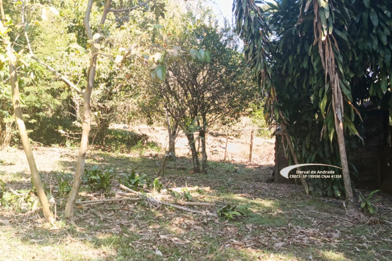 Rural com 4 Quartos à Venda, 24.000,00 m² - Foto 4