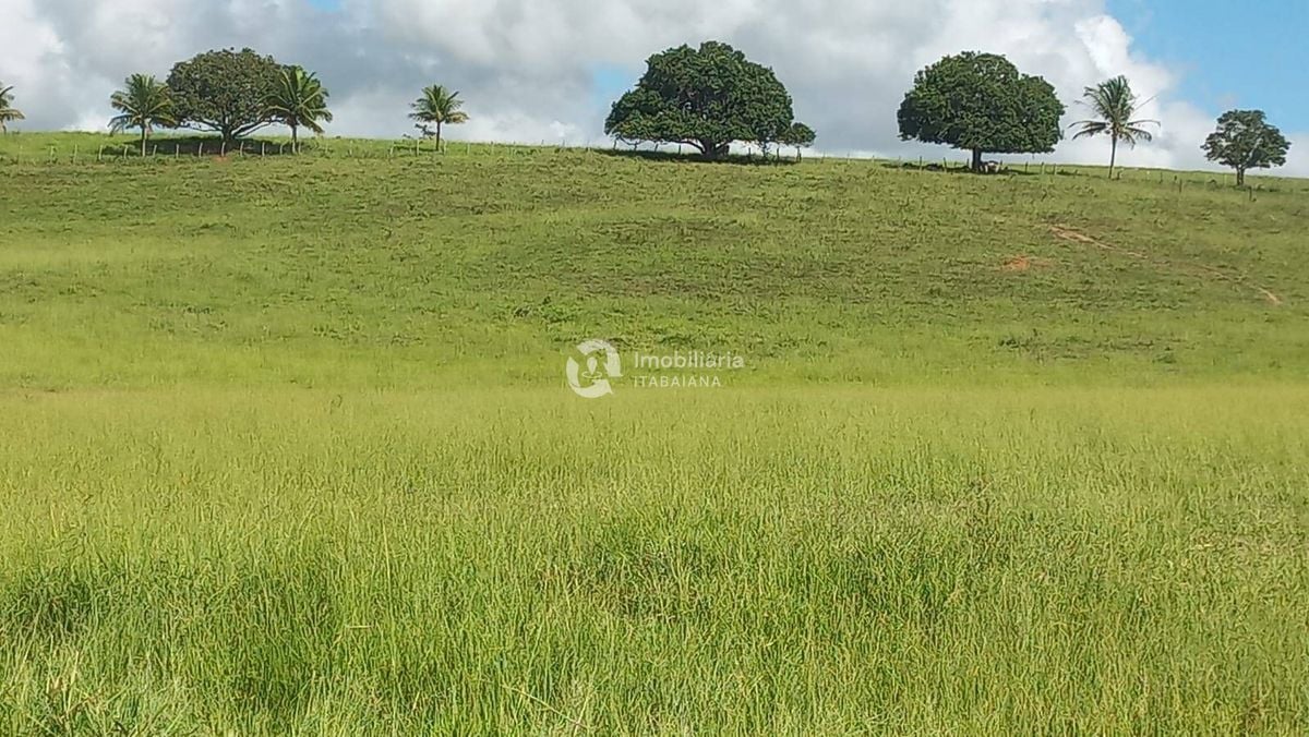 Rural com 5 Quartos à Venda, 868,00 m² - Foto 23