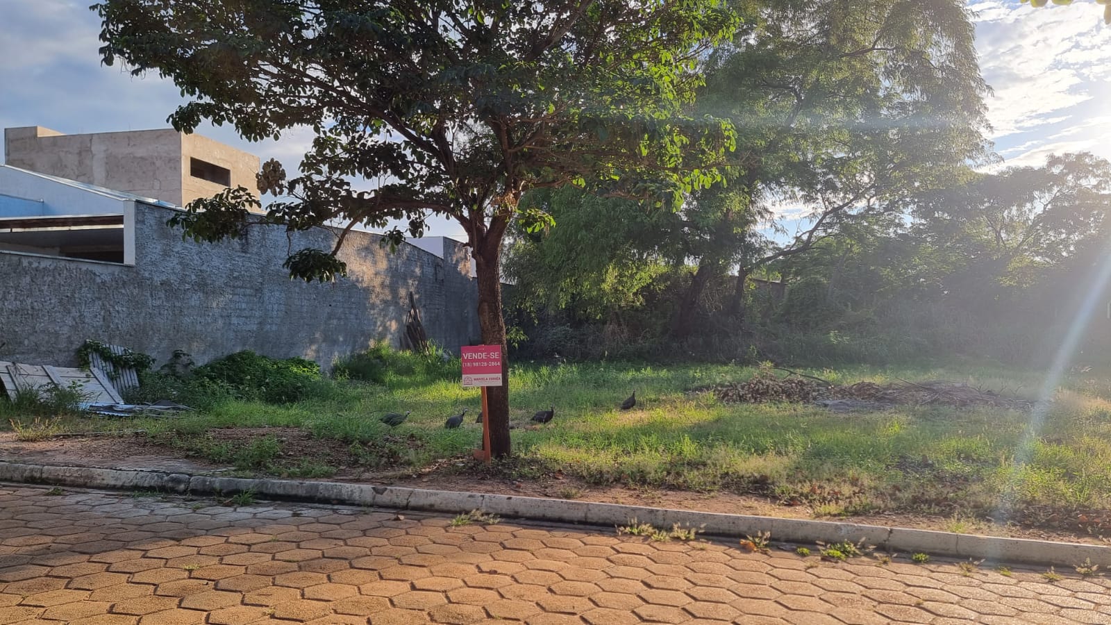 Terreno à Venda, 608,36 m² - Foto 10