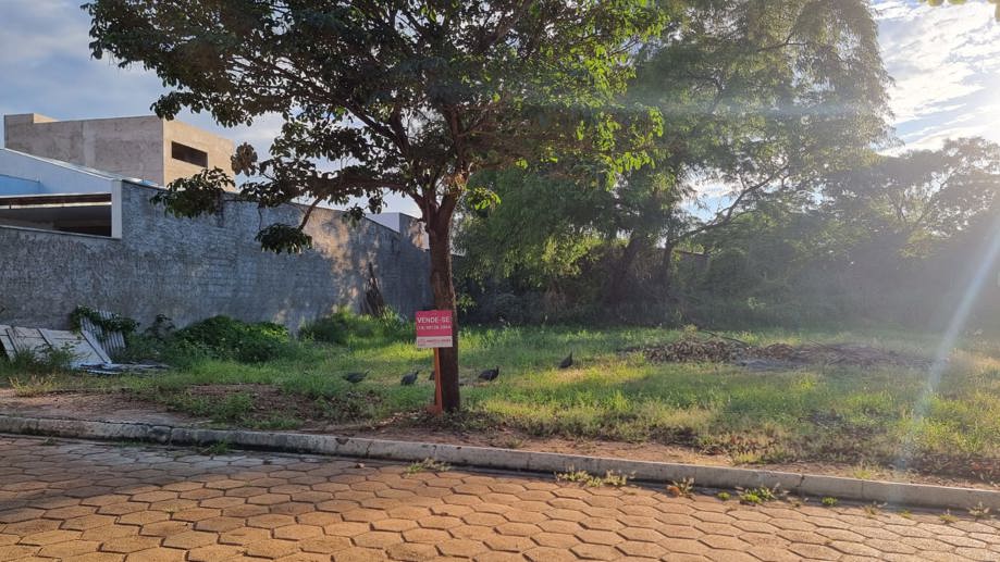 Terreno à Venda, 608,36 m² - Foto 10