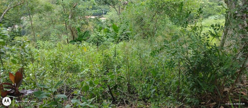 Terreno à Venda, 1.134,00 m² - Foto 4