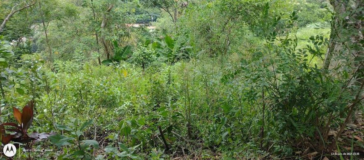 Terreno à Venda, 1.134,00 m² - Foto 2