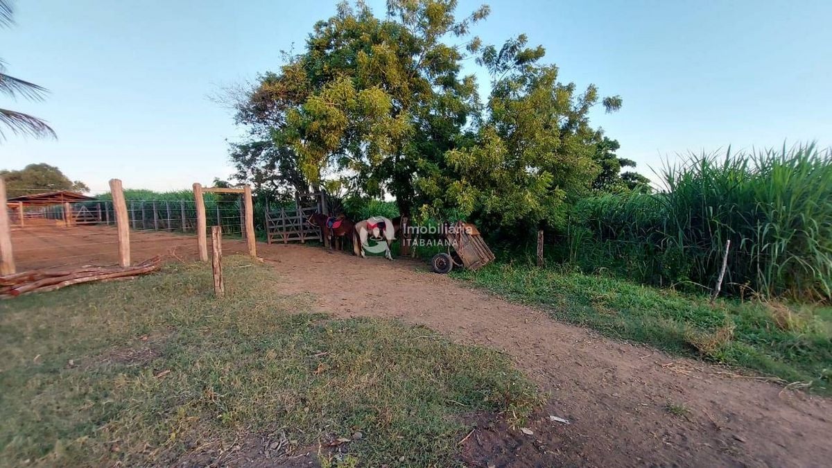 Rural com 5 Quartos à Venda, 868,00 m² - Foto 10
