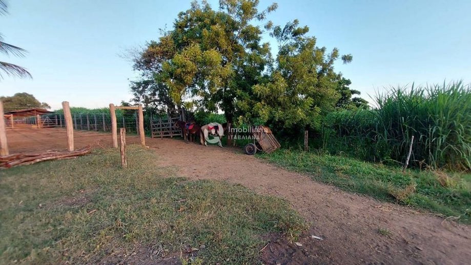 Rural com 5 Quartos à Venda, 868,00 m² - Foto 10