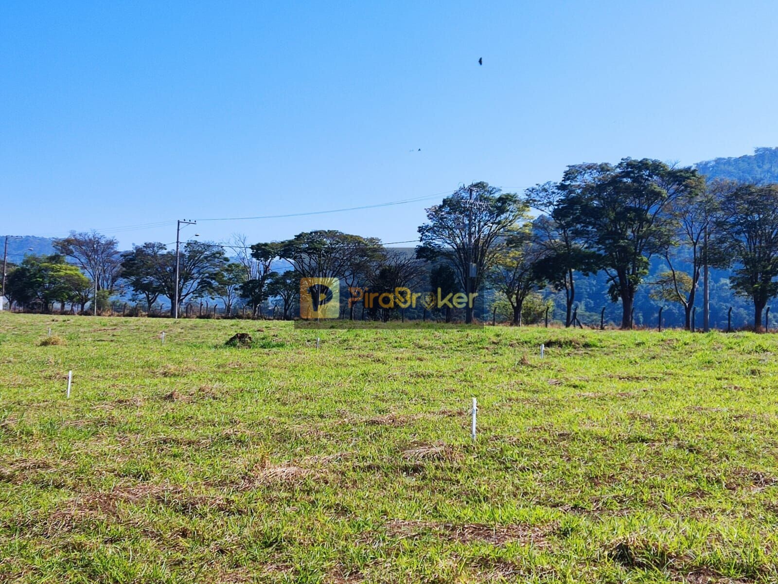 Terreno à Venda, 300,00 m² - Foto 6