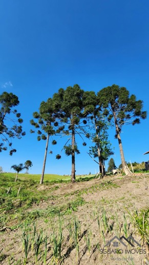 Rural à Venda, 24.200,00 m² - Foto 5