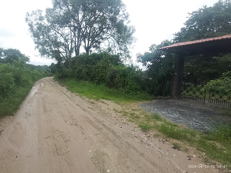 Rural com 4 Quartos à Venda - Foto 8