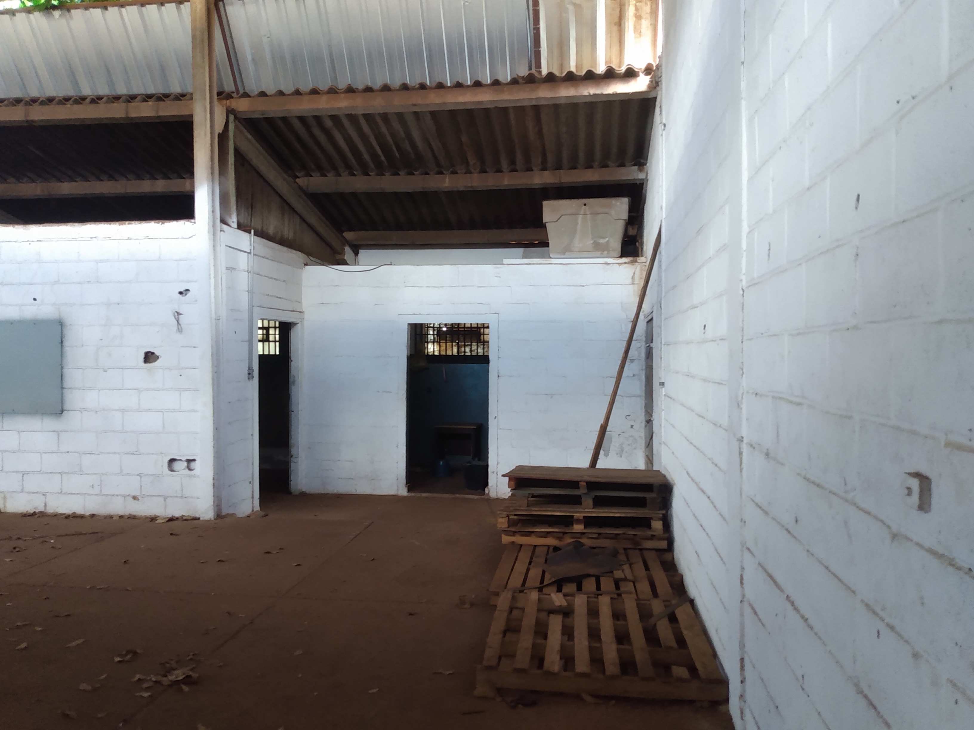 Comercial com 1 Quarto à Venda, 1.226,35 m² - Foto 10