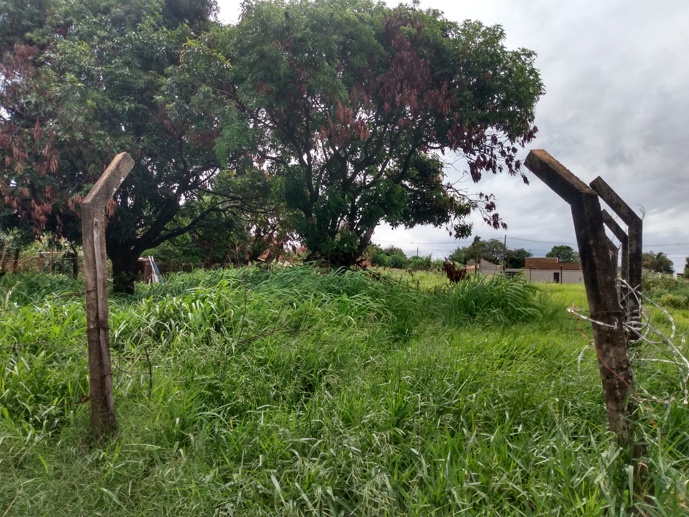 Terreno à Venda, 1.000,00 m² - Foto 2
