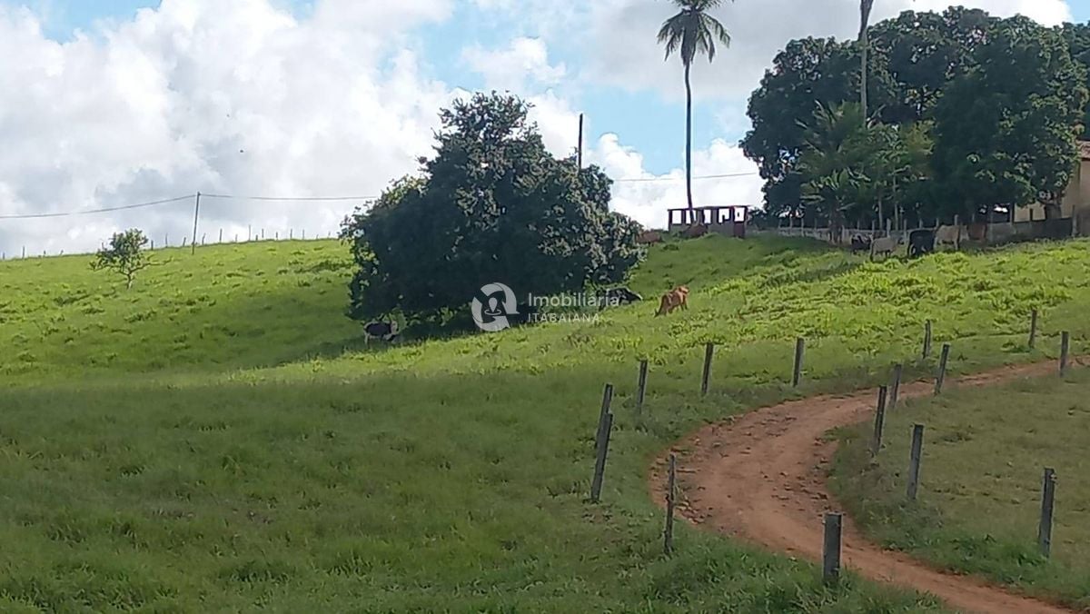 Rural com 5 Quartos à Venda, 868,00 m² - Foto 27