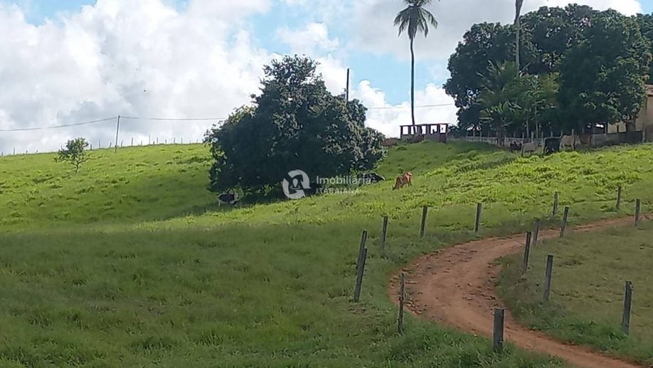 Rural com 5 Quartos à Venda, 868,00 m² - Foto 27