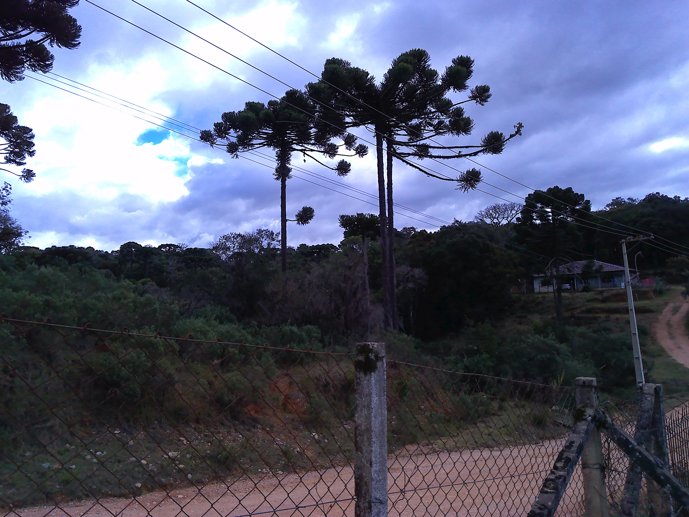 Rural com 3 Quartos à Venda, 24.946,87 m² - Foto 32