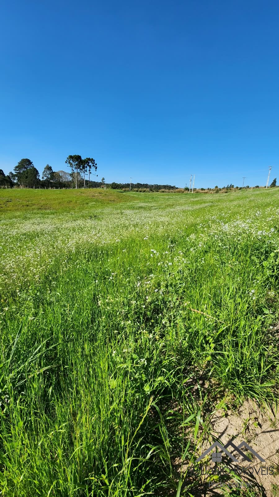 Rural à Venda, 24.200,00 m² - Foto 6