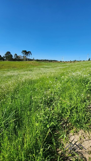Rural à Venda, 24.200,00 m² - Foto 6