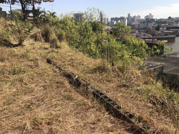 Terreno à Venda, 2.300,00 m² - Foto 11