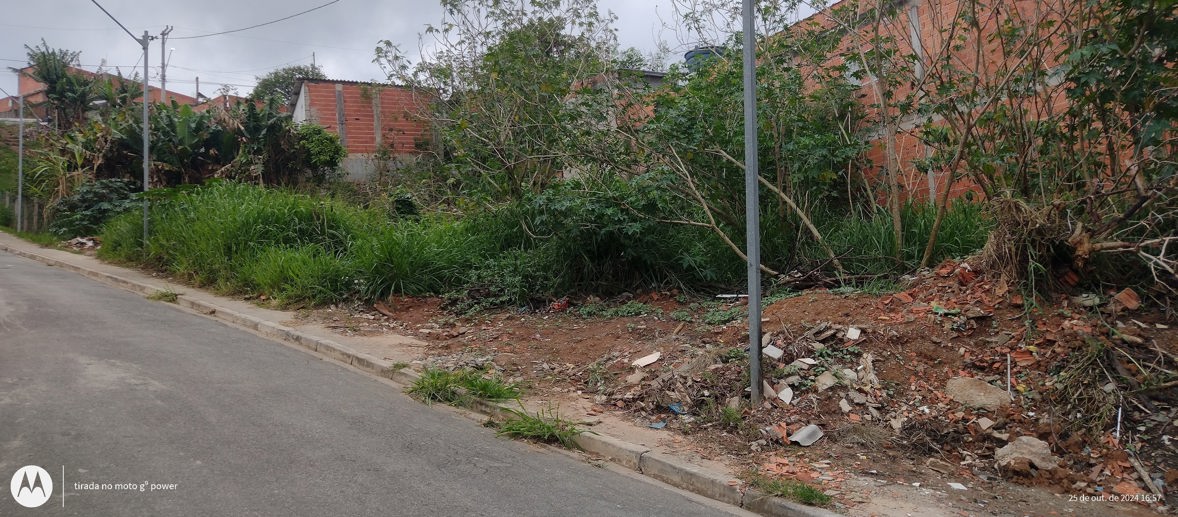 Terreno à Venda - Foto 5