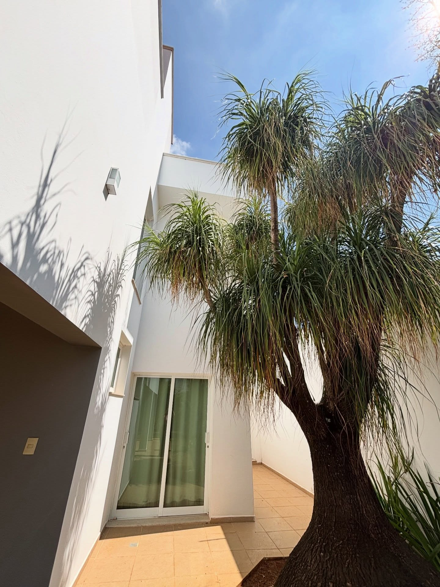Casa com 3 Quartos à Venda - Foto 12
