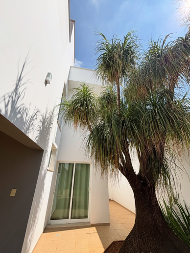 Casa com 3 Quartos à Venda - Foto 12