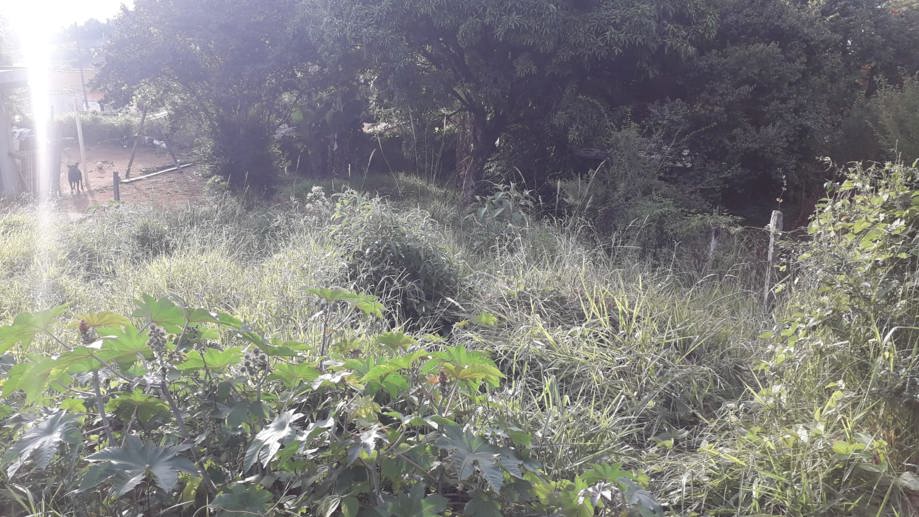 Terreno à Venda, 300,00 m² - Foto 3