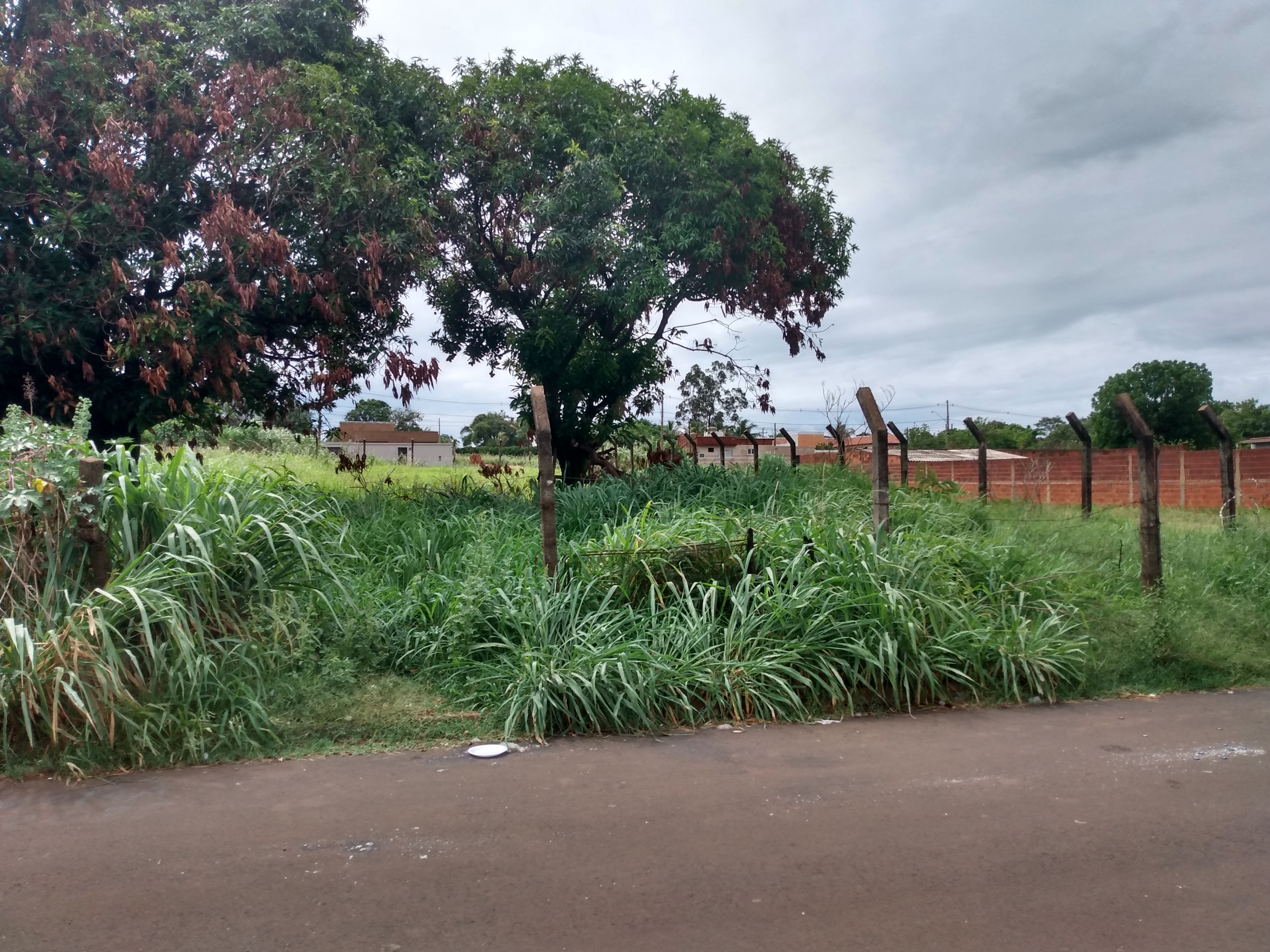 Terreno à Venda, 1.000,00 m² - Foto 3