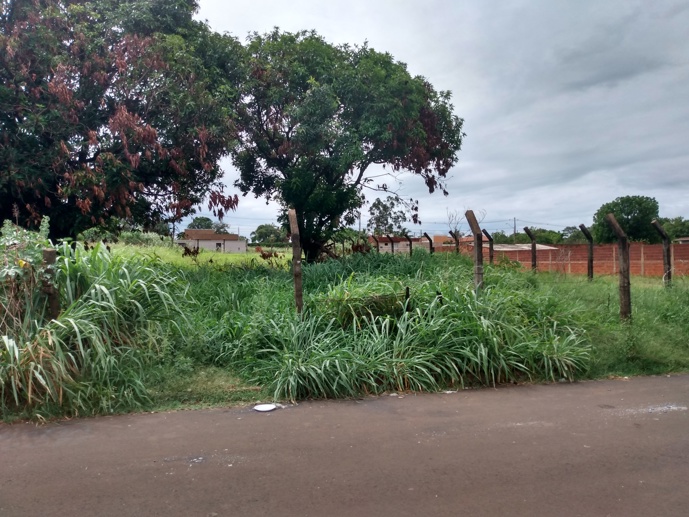 Terreno à Venda, 1.000,00 m² - Foto 3