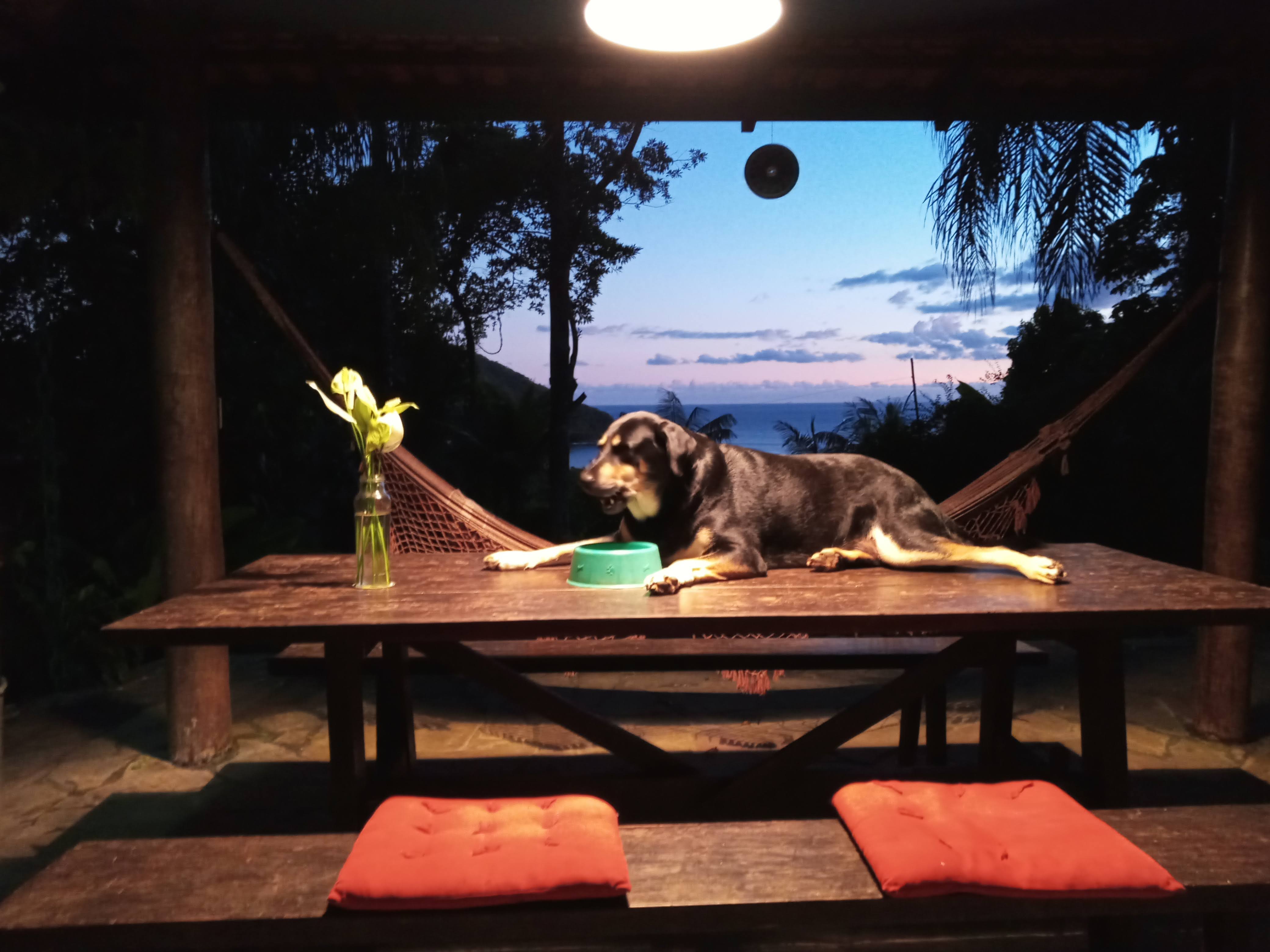 Casa com 2 Quartos para Temporada, 3.000,00 m² - Foto 6