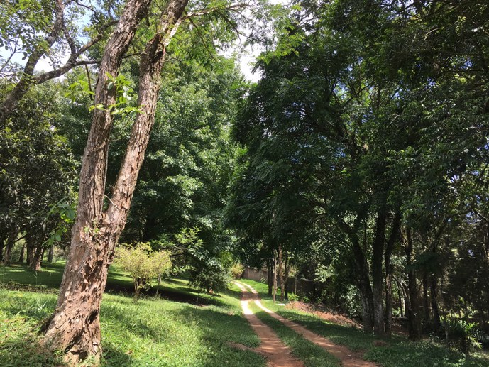 Rural com 3 Quartos à Venda, 29.670,00 m² - Foto 30