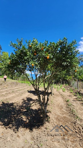 Rural à Venda, 6.050,00 m² - Foto 24