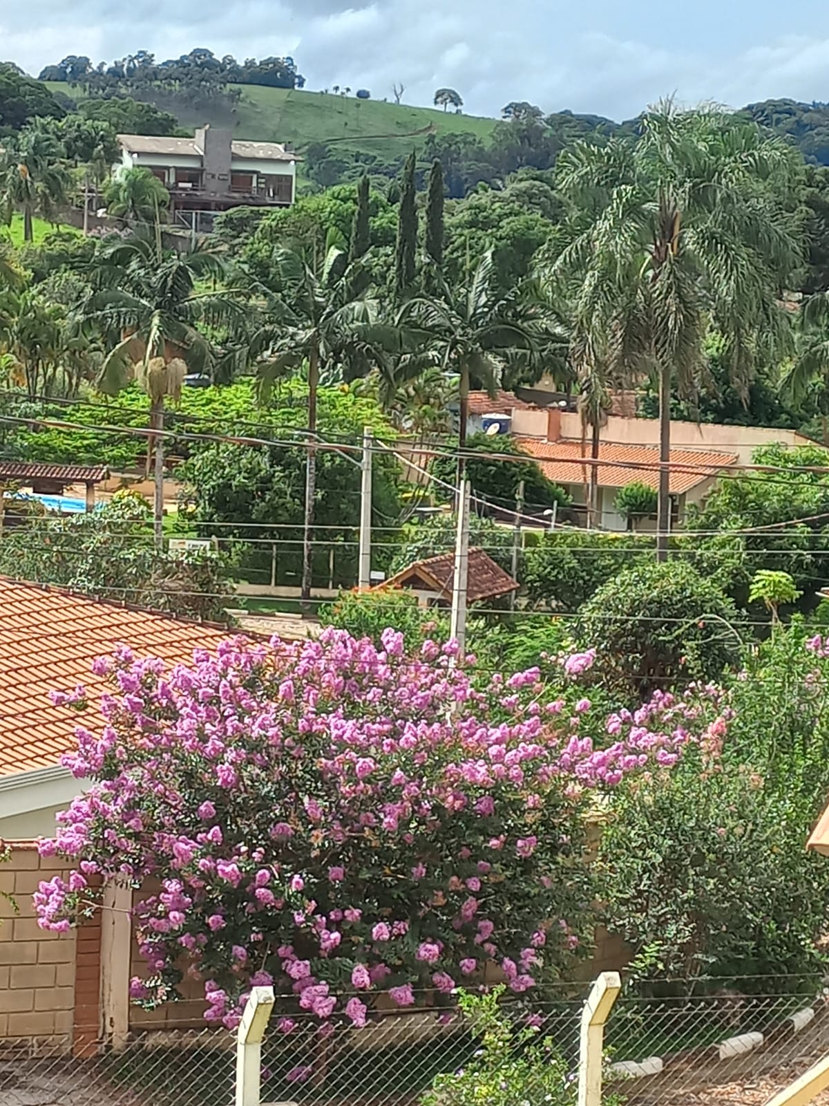 Rural com 4 Quartos à Venda, 2.100,00 m² - Foto 29