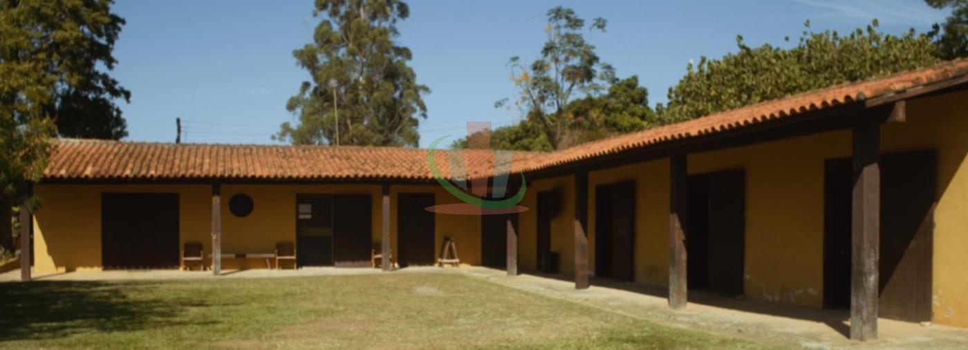 Rural com 4 Quartos à Venda, 241.000,00 m² - Foto 8