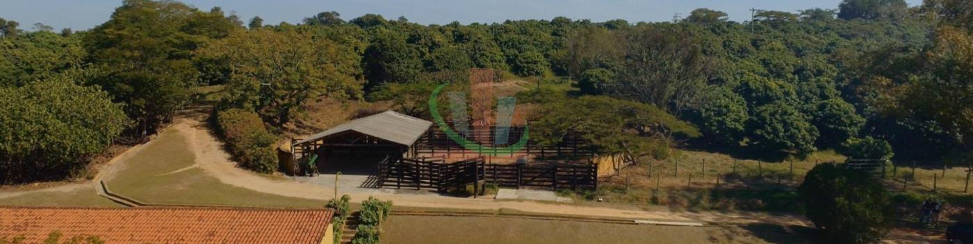 Rural com 4 Quartos à Venda, 241.000,00 m² - Foto 7