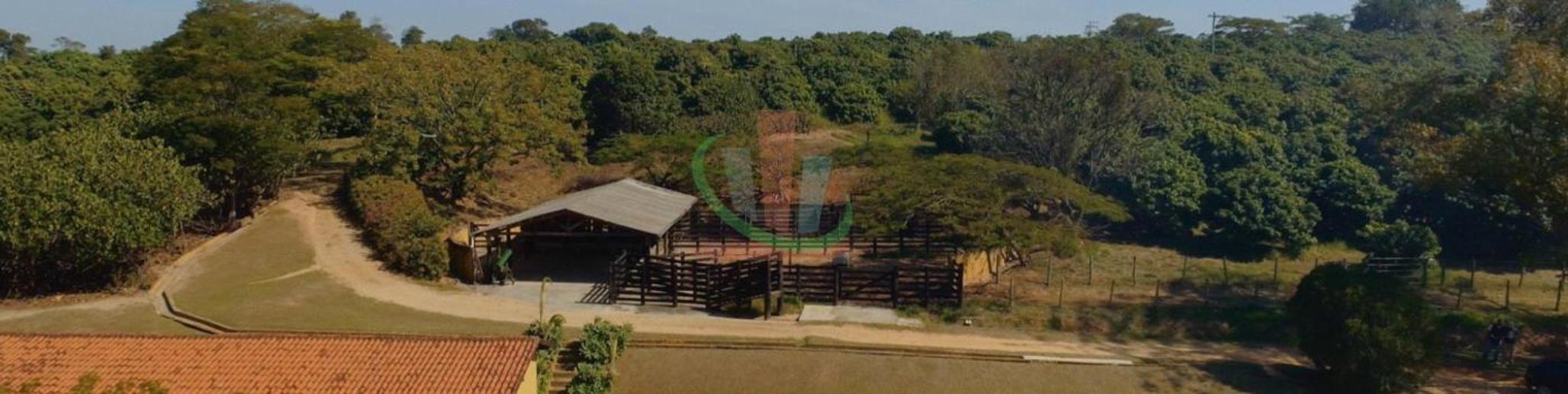 Rural com 4 Quartos à Venda, 241.000,00 m² - Foto 7