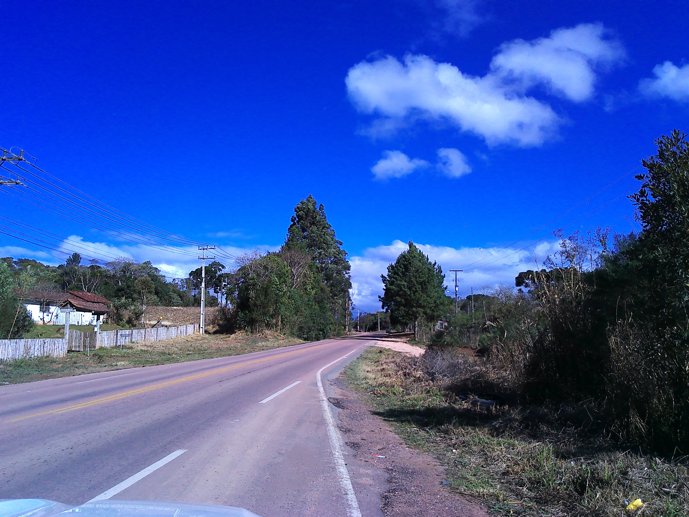 Rural com 3 Quartos à Venda, 24.946,87 m² - Foto 2