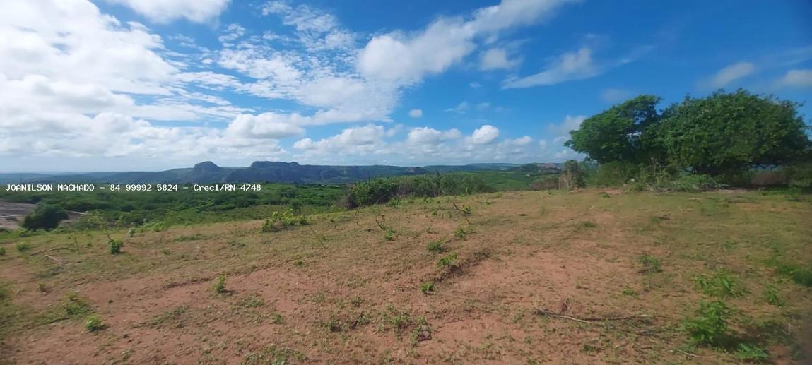 Terreno à Venda - Foto 11