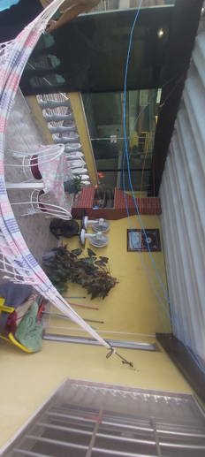 Casa com 4 Quartos à Venda, 250,00 m² - Foto 13