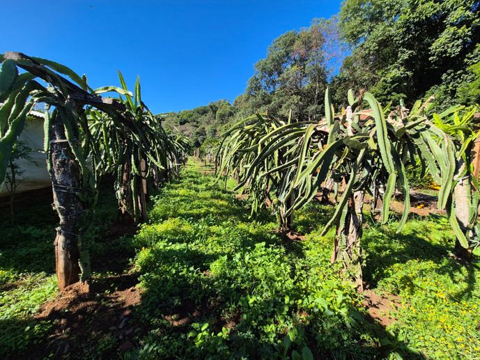 Rural com 1 Quarto à Venda - Foto 12