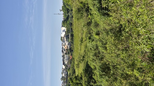 Rural à Venda, 145.585,00 m² - Foto 9