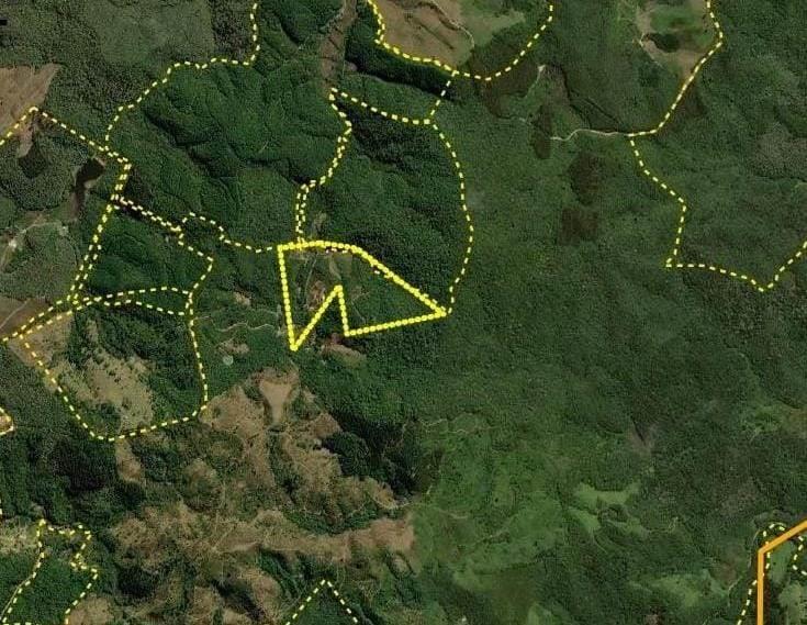 Rural com 2 Quartos à Venda, 6.487,37 m² - Foto 8