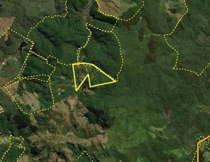 Rural com 2 Quartos à Venda, 6.487,37 m² - Foto 8