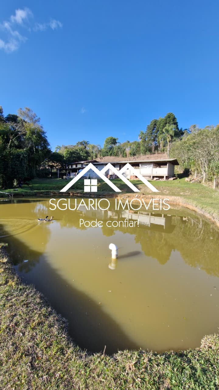 Rural com 4 Quartos à Venda, 7.865,00 m² - Foto 19