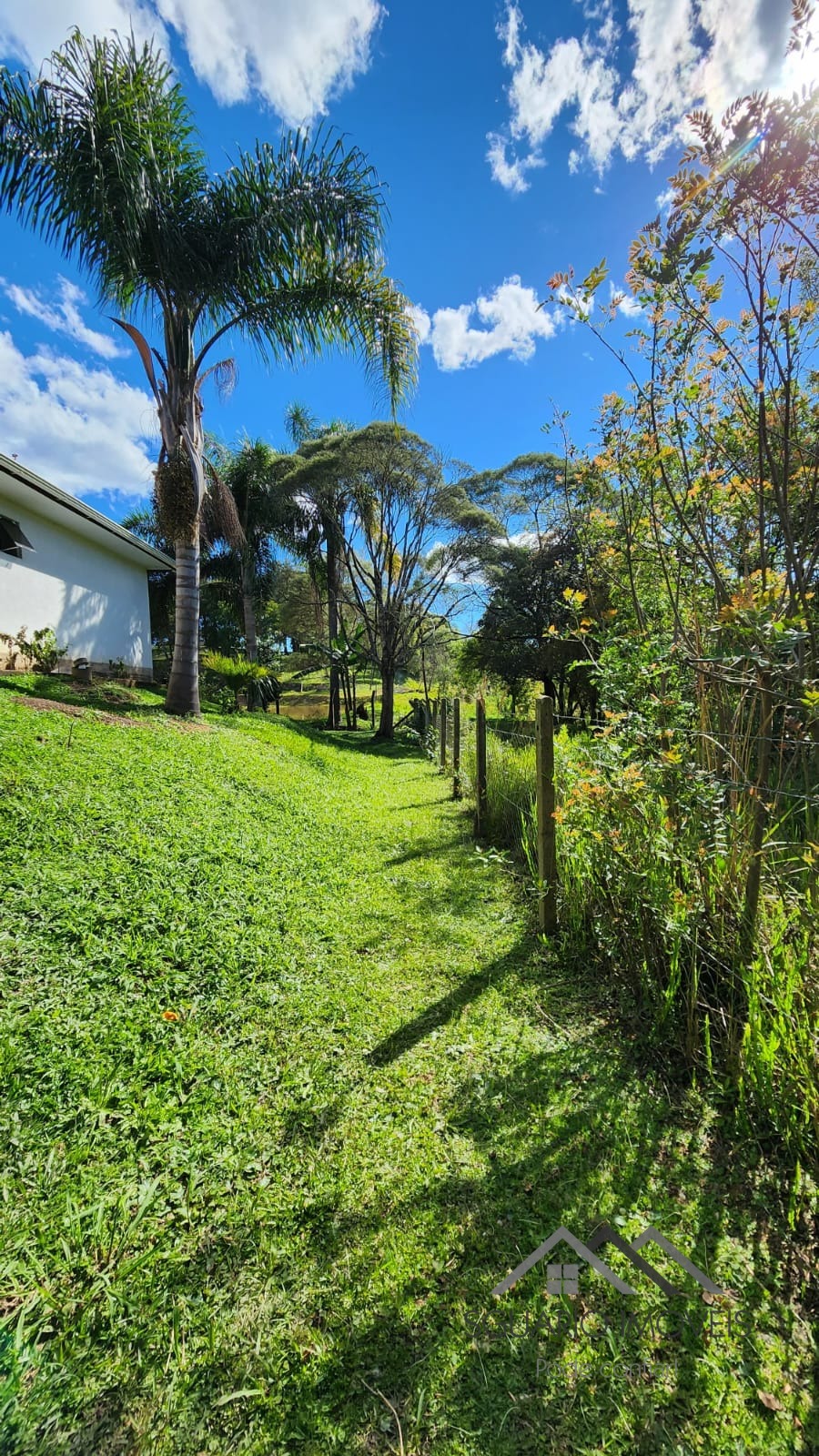 Rural à Venda, 3.025,00 m² - Foto 9