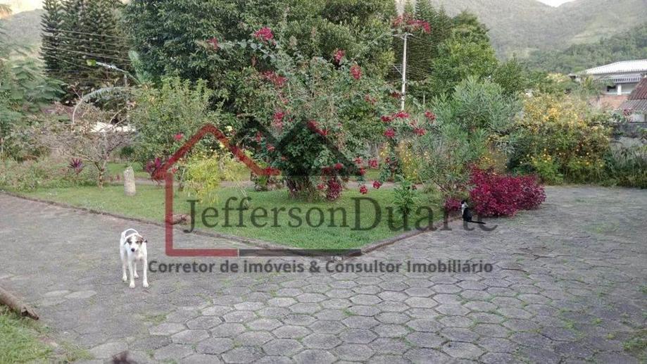 Rural com 3 Quartos à Venda, 2.500,00 m² - Foto 12