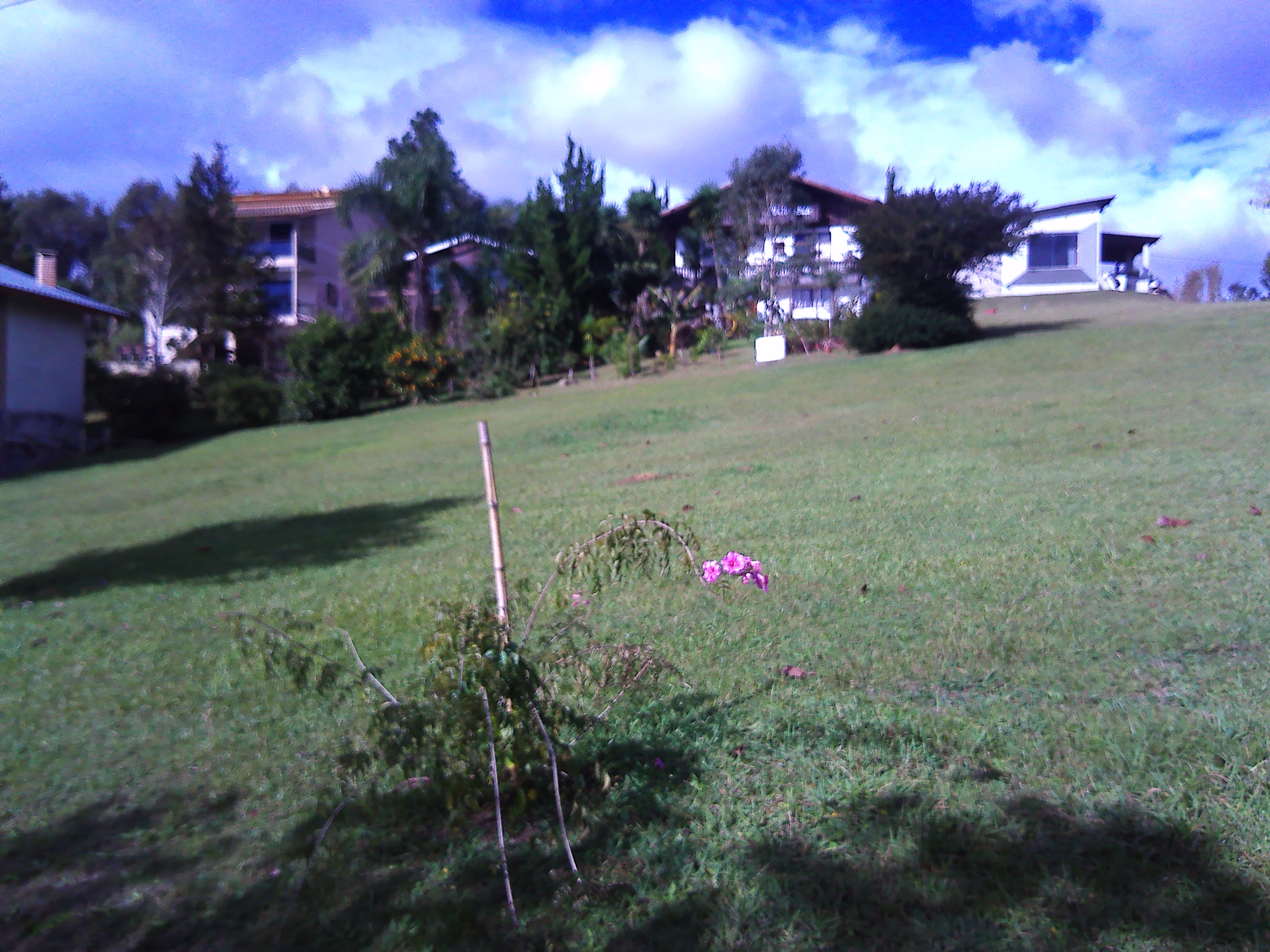 Rural com 3 Quartos à Venda, 1.237,22 m² - Foto 89