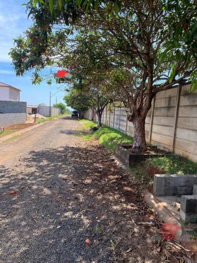 Rural com 1 Quarto à Venda, 1.000,00 m² - Foto 5