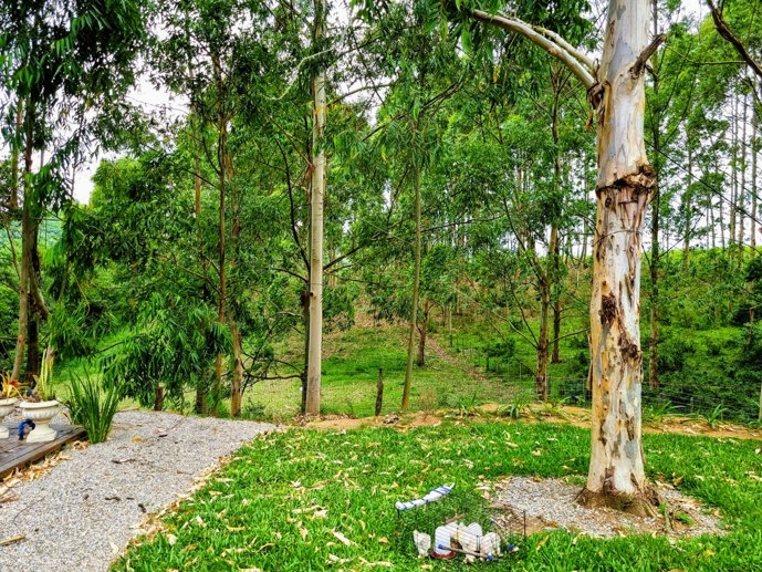 Rural com 2 Quartos à Venda, 112,00 m² - Foto 27