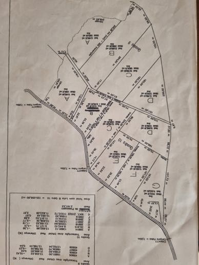 Rural à Venda, 145.585,00 m² - Foto 17