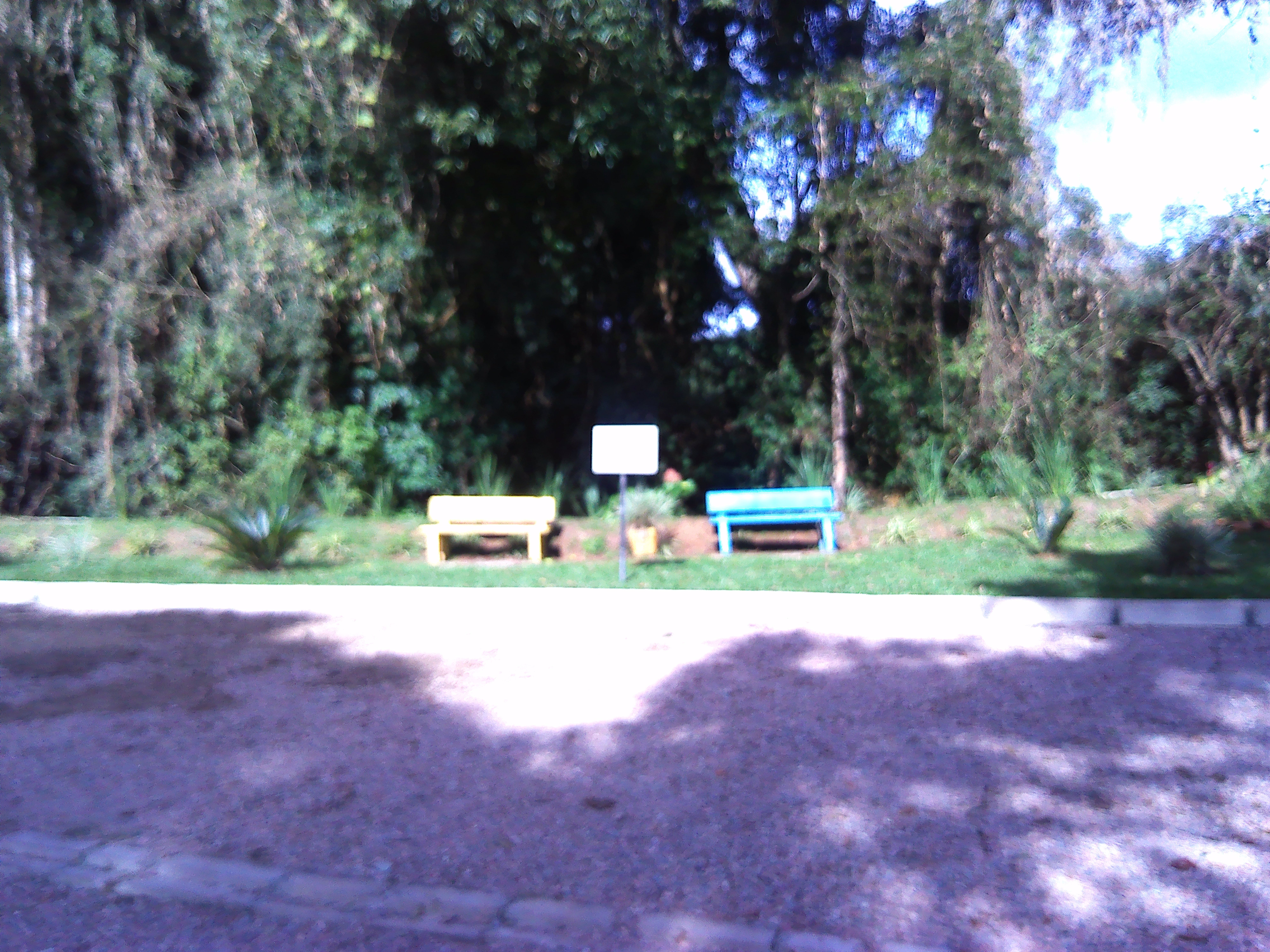Rural com 3 Quartos à Venda, 1.237,22 m² - Foto 14